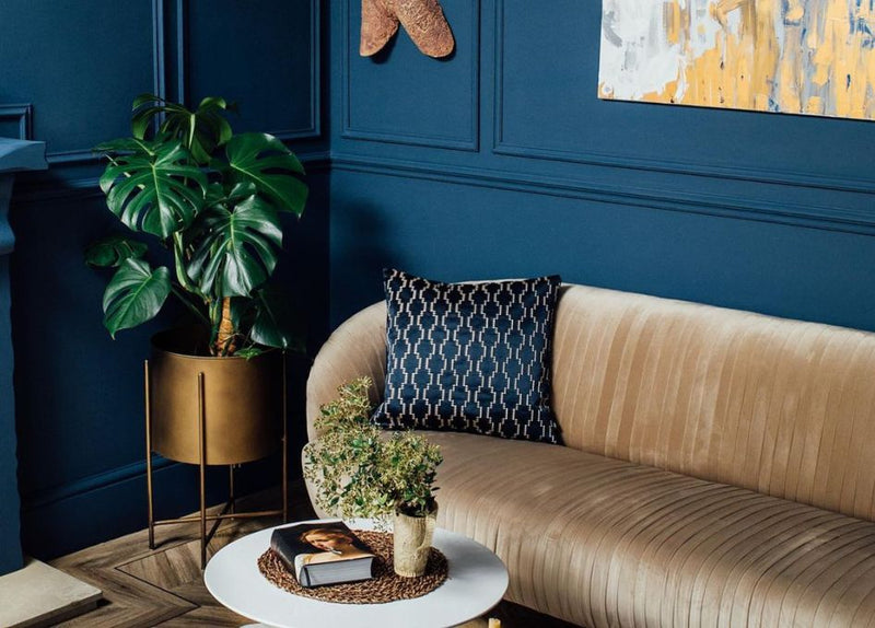 get the look: royalcore decor.