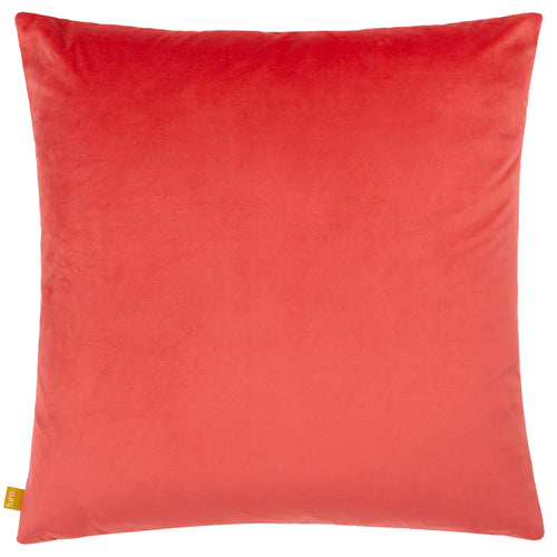 Check Pink Cushions - Alma  Cushion Cover Pink furn.