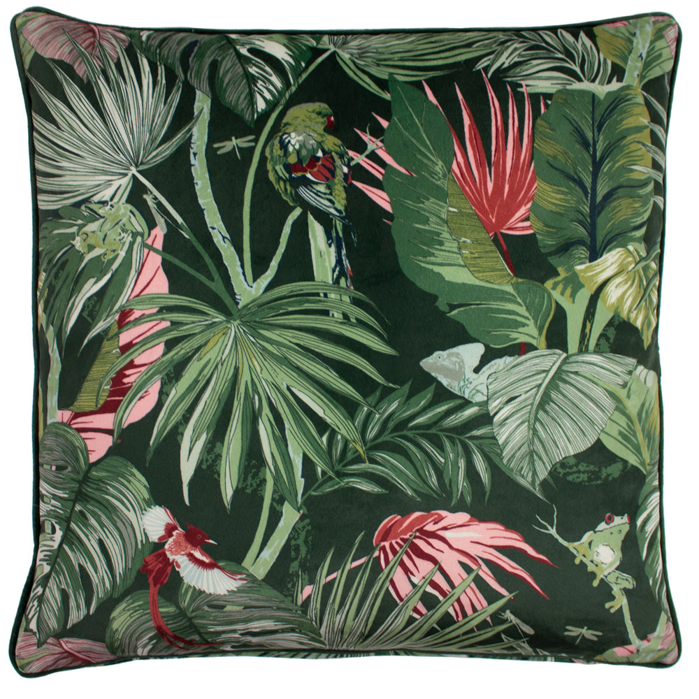 Jungle Green Cushions - Amazon Creatures  Cushion Cover Jade Paoletti