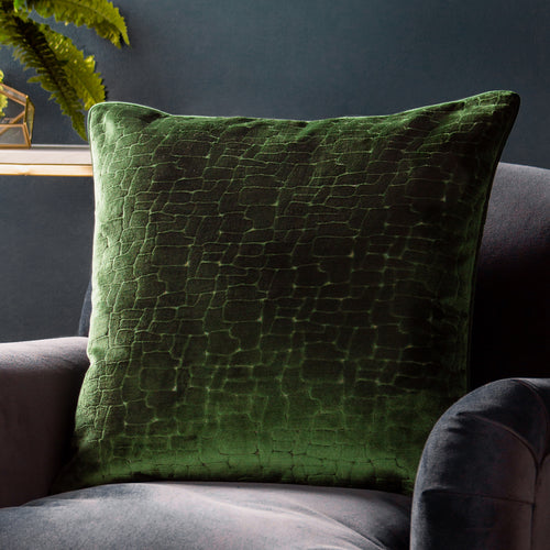Abstract Green Cushions - Bloomsbury Velvet Cushion Cover Emerald Paoletti