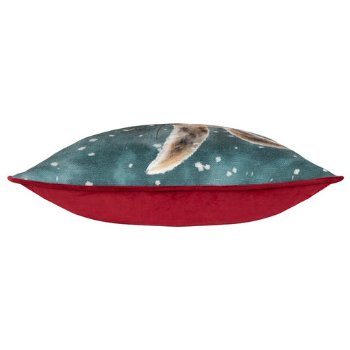 Animal Green Cushions - Christmas Hare Cushion Cover Teal Evans Lichfield