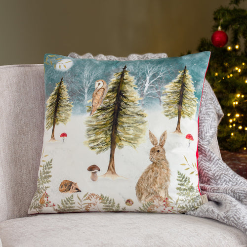 Animal Green Cushions - Christmas Owl Cushion Cover Teal Evans Lichfield