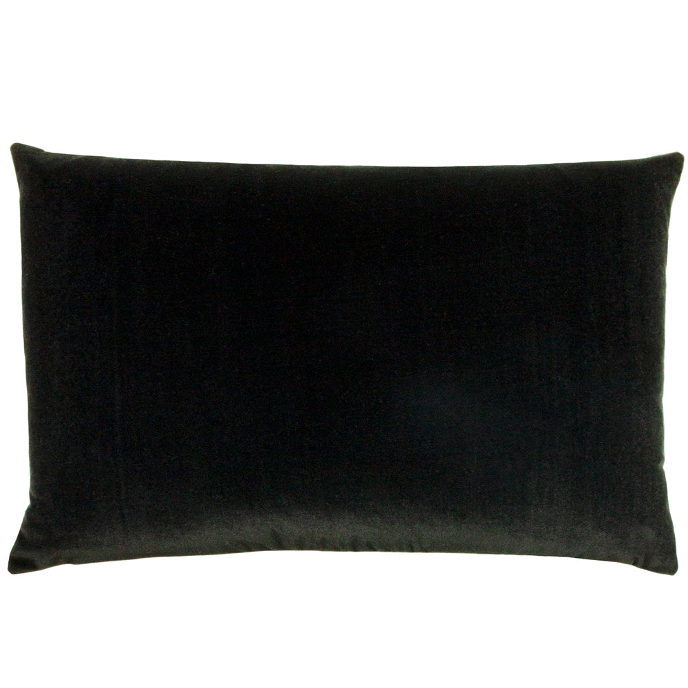 Black store velvet pillows