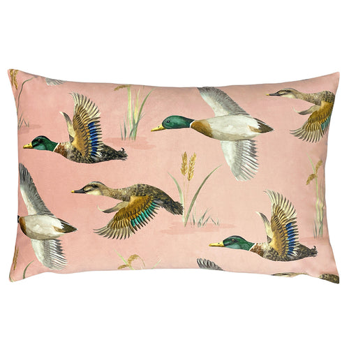 Animal Pink Cushions - Country  Duck Pond Rectangular Cushion Cover Blush Evans Lichfield