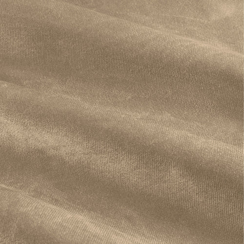 The Ultimate Velvet Blackout Eyelet Curtains Mocha