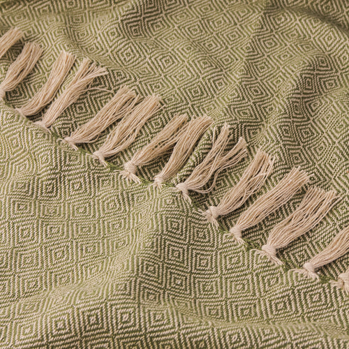 Dessa Woven Indoor/Outdoor Throw Olive