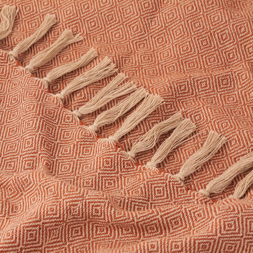 Dessa Woven Indoor/Outdoor Throw Terracotta