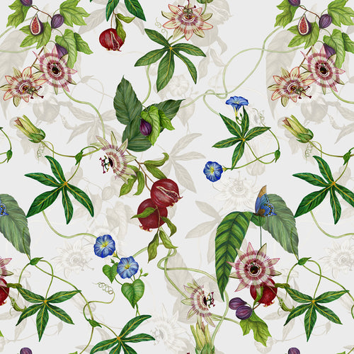 Floral White Wallpaper - Figaro Floral Wallpaper White Paoletti