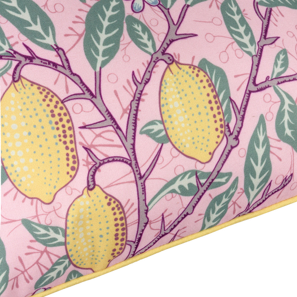 Fruits Morris Outdoor Cushion Blush Pink/Lemon