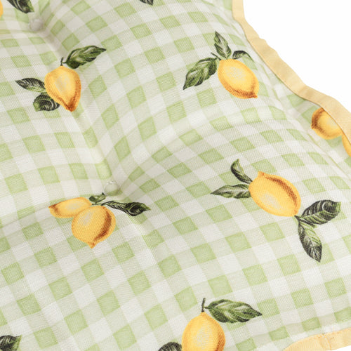 Fruits Lemons Gingham Check Indoor/Outdoor Seat Pads Sage