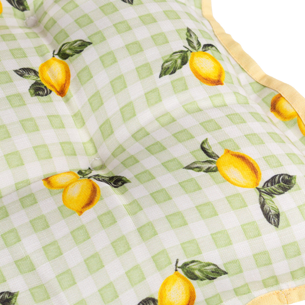 Fruits Lemons Set of 4 Indoor/Outdoor Placemats Sage