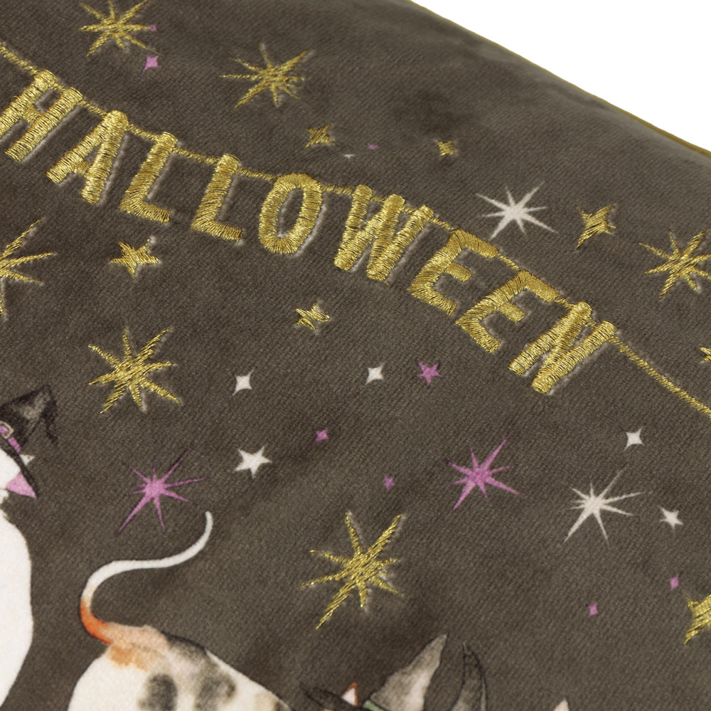 Halloween Pawty Embroidered Velvet Cushion Multicolour