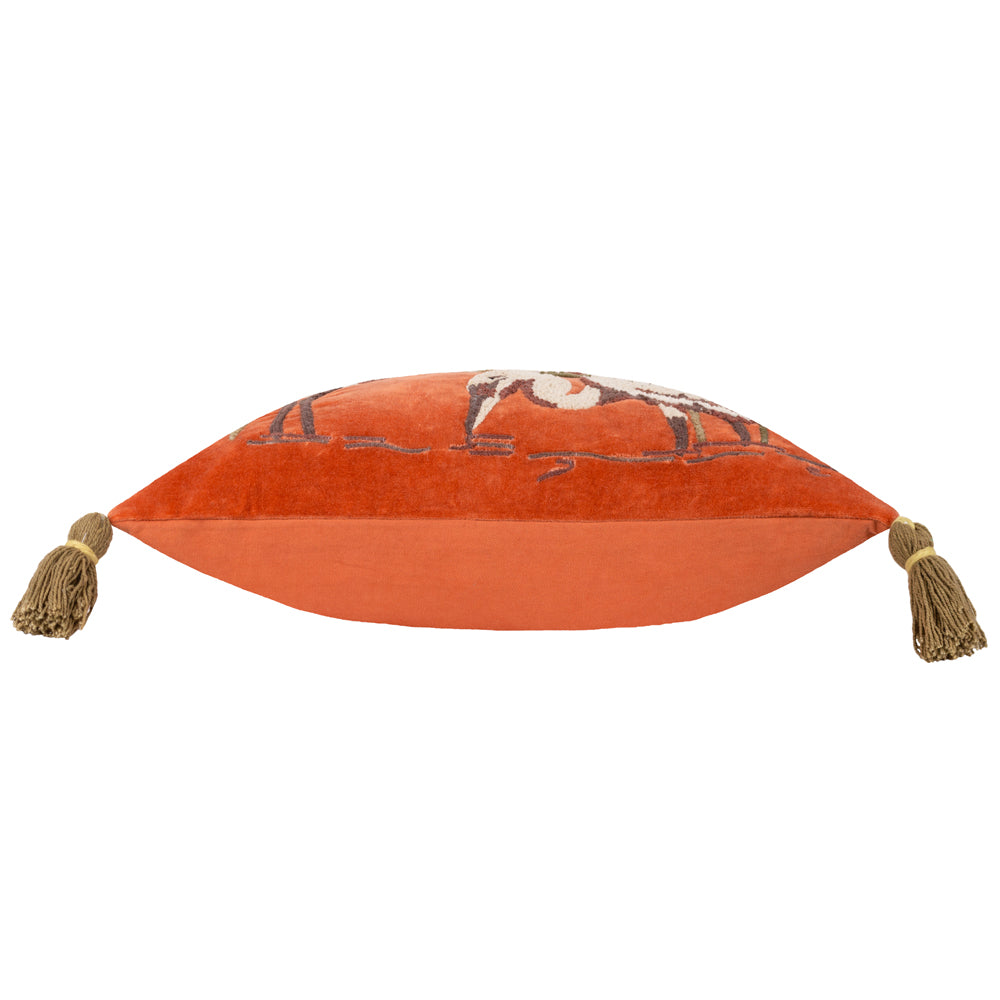 Kushiro Cushion Coral