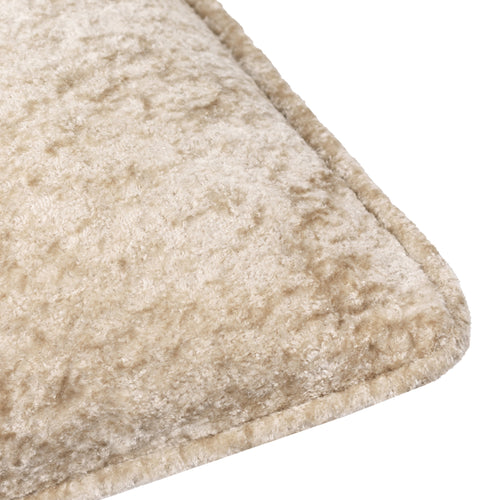 Lustre Velvet Cushion Champagne