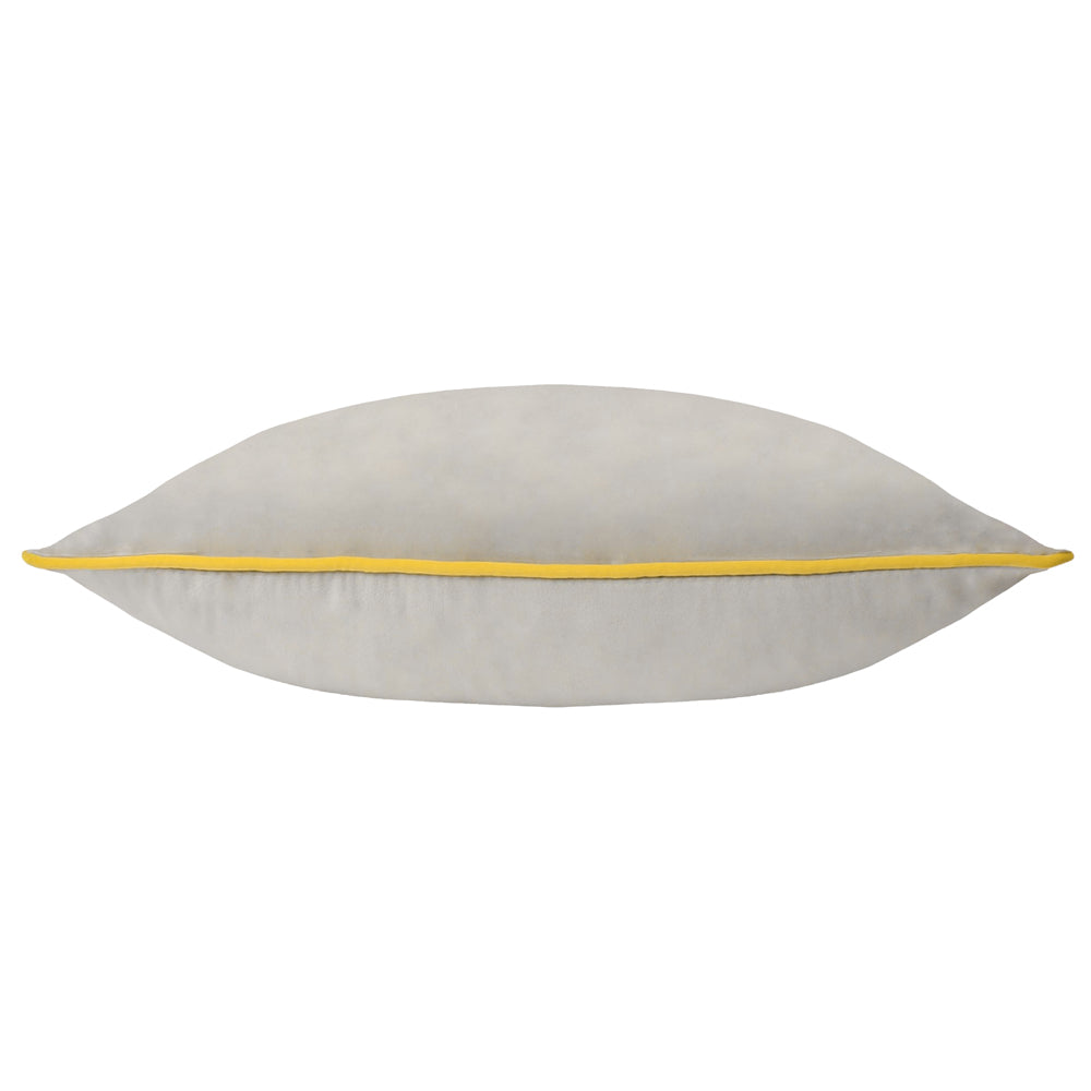 Meridian Velvet Cushion Dove/Cylon