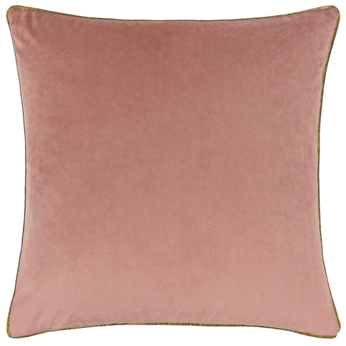 Plain Pink Cushions - Meridian Velvet Cushion Cover Blush/Gold Paoletti