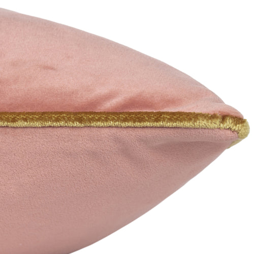 Plain Pink Cushions - Meridian Velvet Cushion Cover Blush/Gold Paoletti
