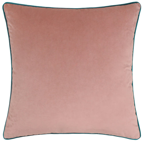 Plain Pink Cushions - Meridian Velvet Cushion Cover Blush/Teal Paoletti