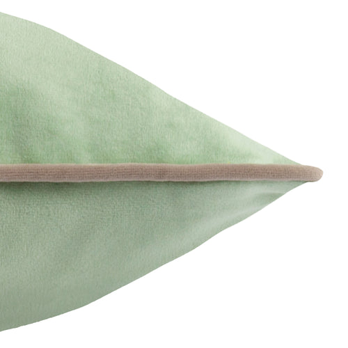 Meridian Velvet Cushion Eucalyptus/Natural