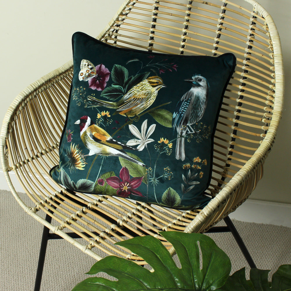 Midnight Garden Green Bird Cushion Cover Green Cushions Evans Lichfield furn