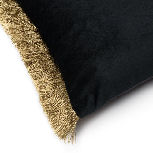 Animal Black Cushions - Moondusk  Cushion Cover Noire Black Paoletti
