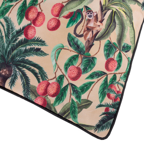 Monkey Palm Monkeys Outdoor Cushion Papyrus