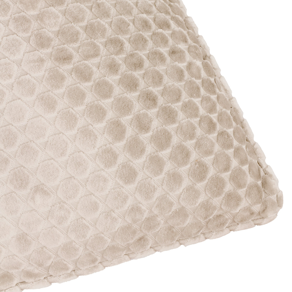 Neptune Velvet Cushion Champagne