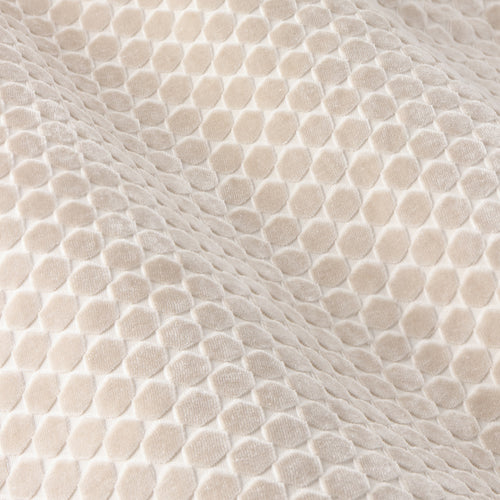 Neptune Fully Lined Velvet Eyelet Curtains Champagne