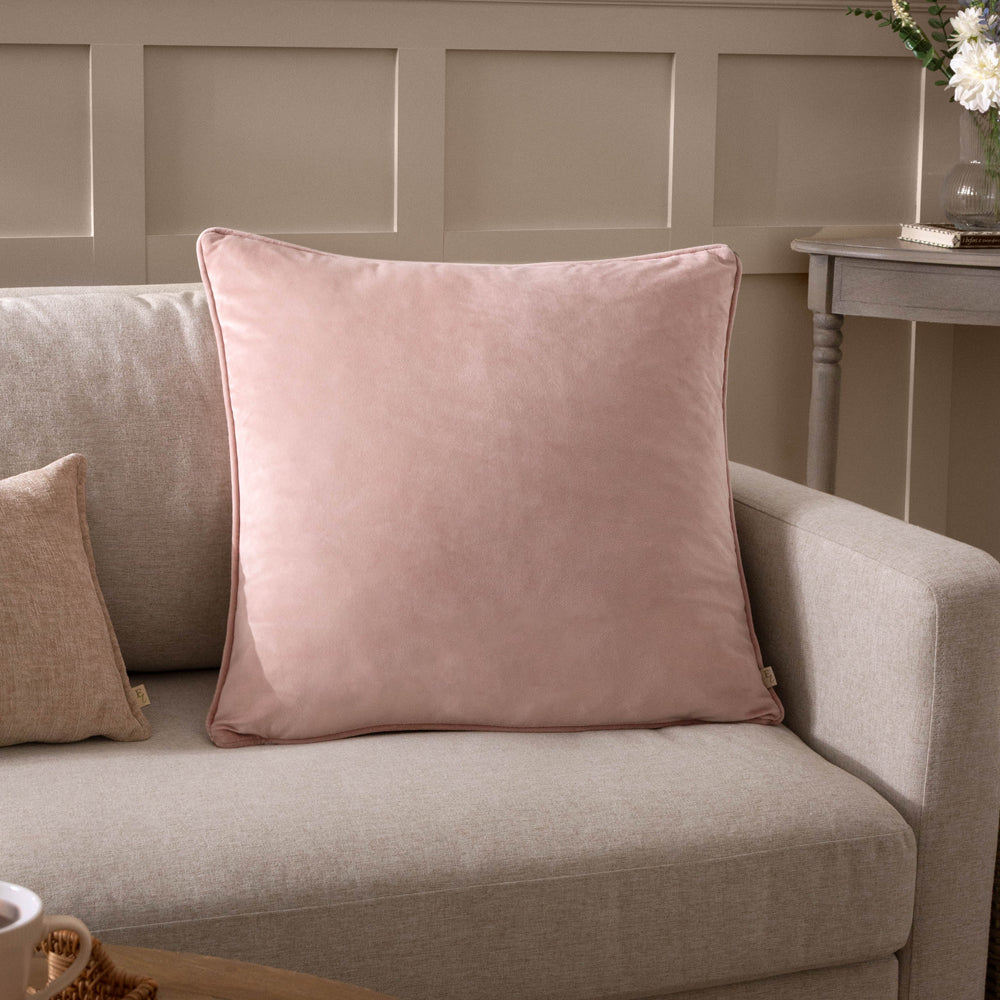 Plain Pink Cushions - Opulence Soft Velvet Cushion Cover Powder Evans Lichfield