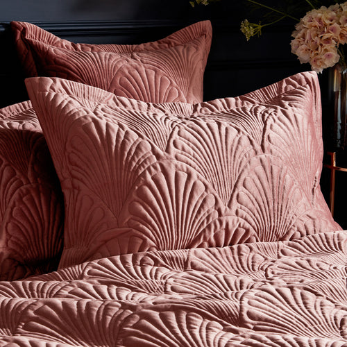 Jungle Pink Bedding - Palmeria Quilted Velvet Pillowcase Blush Paoletti