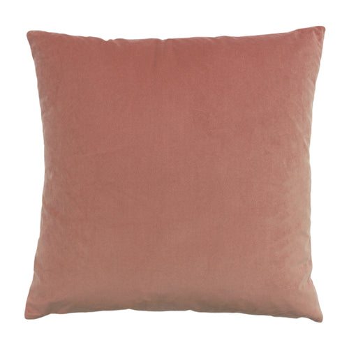 Jungle Pink Cushions - Palm Grove Velvet Jacquard Cushion Cover Blush/Navy Paoletti