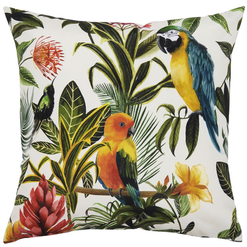 Animal Green Cushions - Parrots Outdoor Cushion Cover Green Evans Lichfield