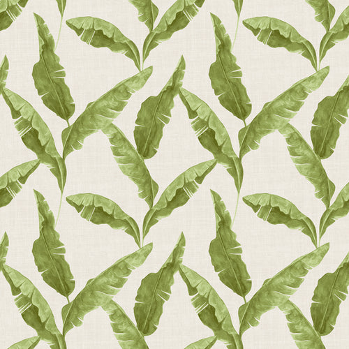 Jungle Green Wallpaper - Plantain  Wallpaper Green furn.