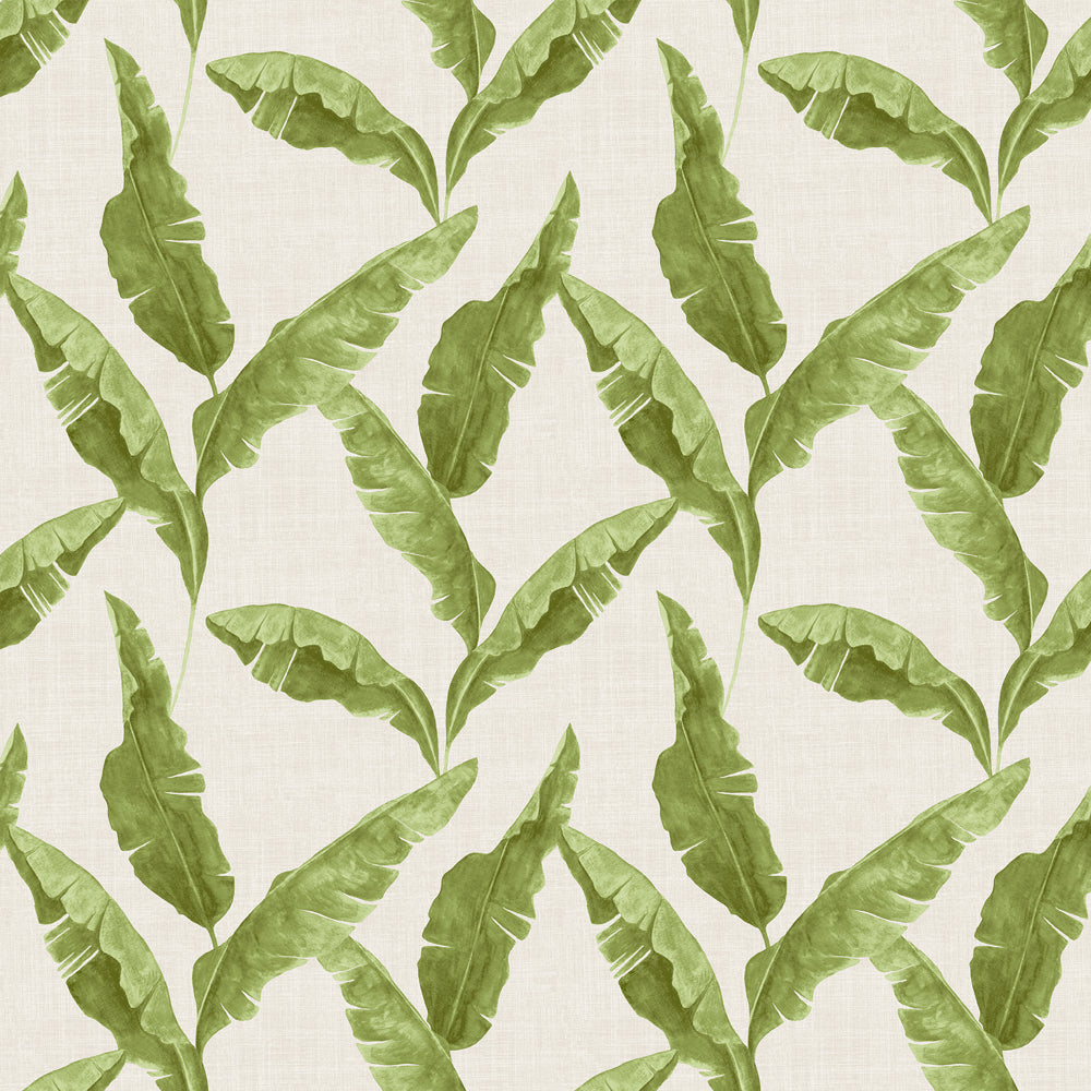 Jungle Green Wallpaper - Plantain  Wallpaper Sample Green furn.
