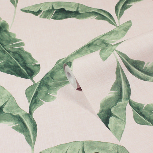 Jungle Blue Wallpaper - Plantain  Wallpaper Sample Teal/Blush furn.