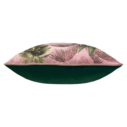 Jungle Pink Cushions - Platalea Botanical Cushion Cover Pink Paoletti