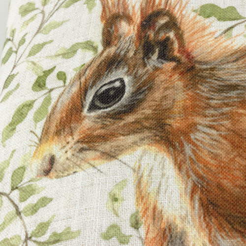 Animal Multi Cushions - Shugborough Squirrel Traditional Cushion Cover Multicolour Evans Lichfield