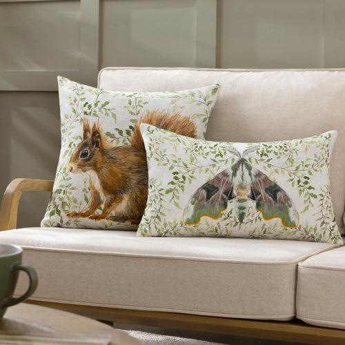 Animal Multi Cushions - Shugborough Squirrel Traditional Cushion Cover Multicolour Evans Lichfield