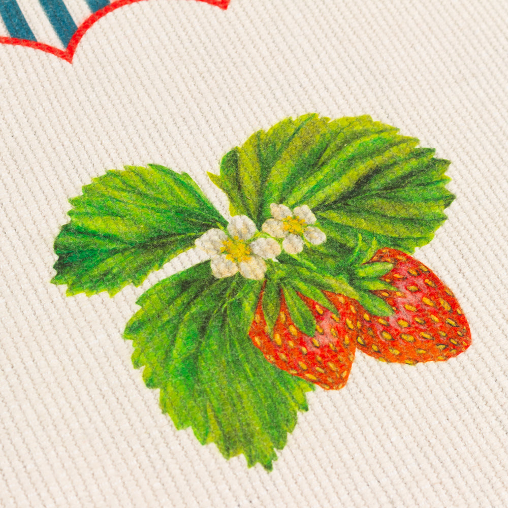 Strawberry Stripes Set of 4 Indoor/Outdoor Placemats Candy Cane