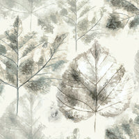 Floral Grey M2M - Sycamore Grey Fabric Sample Evans Lichfield