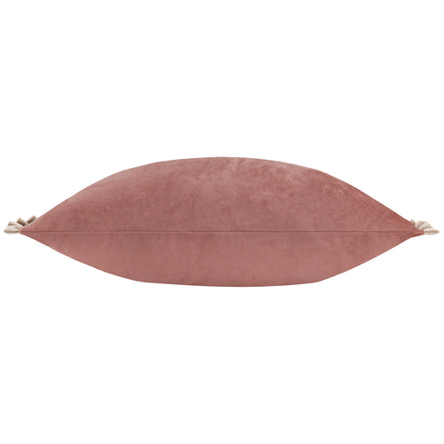 Plain Pink Cushions - Tilly Velvet Cushion Cover Poached Pear/Shell Wylder