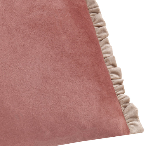 Plain Pink Cushions - Tilly Velvet Cushion Cover Poached Pear/Shell Wylder