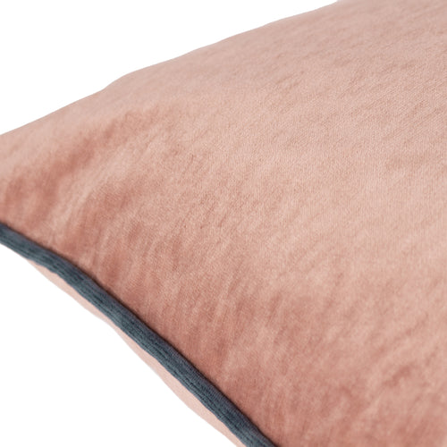 Plain Pink Cushions - Torto Opulent Velvet Cushion Cover Blush/Slate Blue Paoletti