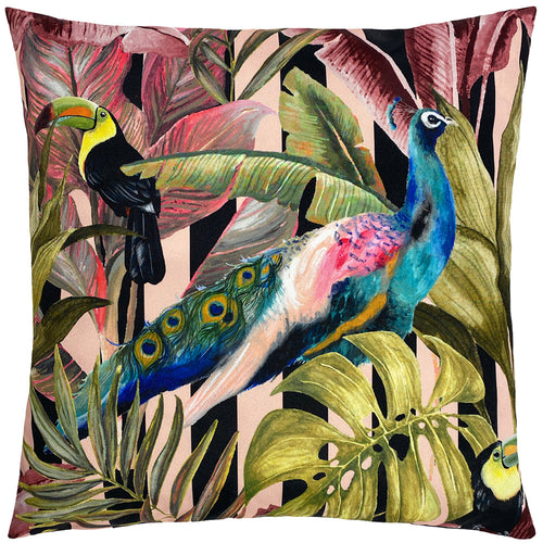 Animal Pink Cushions - Toucan and Peacock Outdoor Cushion Cover Green/Pink Evans Lichfield